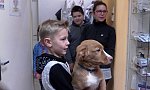 Prohlídka veterinární ordinace a beseda s veterinářkou (KND Oříšek, Děčín) preview