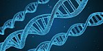 DNA detektivové (Ilustrační obrázek: Arek Socha / Pixabay)