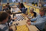 Testujeme novou variantu šachu - České šachy od Petra Doubka