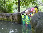 Projekt Po stopách zvířátek - spolupráce se ZOO Brno (Anglická školka PONNY, Brno)
