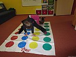 Obr. 10: Twister