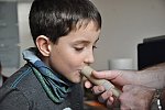 Návštěva Ústavu přístrojové techniky AV ČR v Brně (Klub dětí ZŠ Křídlovická)