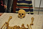 Návštěva Ústavu antropologie PřF, laboratoře morfologie a forenzní antropologie (Klub dětí ZŠ Křídlovická)