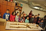Návštěva Ústavu antropologie PřF, laboratoře morfologie a forenzní antropologie (Klub dětí ZŠ Křídlovická)