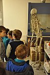 Návštěva Ústavu antropologie PřF, laboratoře morfologie a forenzní antropologie (Klub dětí ZŠ Křídlovická)