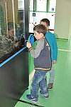 Návštěva VIDA! parku (Klub dětí ZŠ Křídlovická)