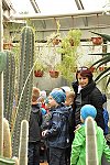 Klub v botanické zahradě (Klub dětí ZŠ Křídlovická)
