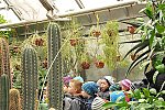 Klub v botanické zahradě (Klub dětí ZŠ Křídlovická)