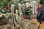 Klub v botanické zahradě (Klub dětí ZŠ Křídlovická)