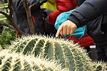 Klub v botanické zahradě (Klub dětí ZŠ Křídlovická)