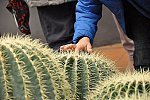 Klub v botanické zahradě (Klub dětí ZŠ Křídlovická)