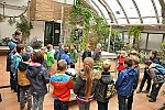 Klub v botanické zahradě (Klub dětí ZŠ Křídlovická)