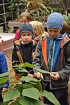 Klub v botanické zahradě (Klub dětí ZŠ Křídlovická)