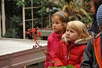 Klub v botanické zahradě (Klub dětí ZŠ Křídlovická)