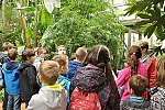 Klub v botanické zahradě (Klub dětí ZŠ Křídlovická)