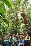 Klub v botanické zahradě (Klub dětí ZŠ Křídlovická)