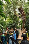 Klub v botanické zahradě (Klub dětí ZŠ Křídlovická)