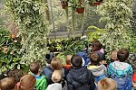 Klub v botanické zahradě (Klub dětí ZŠ Křídlovická)