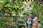 Klub v botanické zahradě (Klub dětí ZŠ Křídlovická)