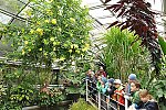Klub v botanické zahradě (Klub dětí ZŠ Křídlovická)