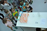 CEITEC – červen 2017 (Klub dětí ZŠ Křídlovická)
