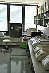 CEITEC – červen 2017 (Klub dětí ZŠ Křídlovická)
