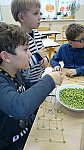 Architekti – listopad 2017 (Klub dětí ZŠ Křídlovická)