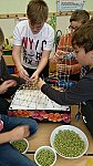 Architekti – listopad 2017 (Klub dětí ZŠ Křídlovická)