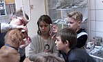 Prohlídka veterinární ordinace a beseda s veterinářkou (KND Oříšek, Děčín)
