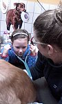 Prohlídka veterinární ordinace a beseda s veterinářkou (KND Oříšek, Děčín)