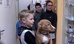 Prohlídka veterinární ordinace a beseda s veterinářkou (KND Oříšek, Děčín)