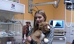 Prohlídka veterinární ordinace a beseda s veterinářkou (KND Oříšek, Děčín)
