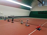 Tenis