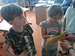 A to nejen zvířat žijících volně v přírodě, ale i o zvířatech v zoologických zahradách a domácích mazlíčcích.
