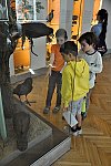 Fauna Moravy (Klub dětí ZŠ Křídlovická)