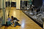 Fauna Moravy (Klub dětí ZŠ Křídlovická)