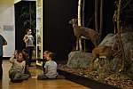 Fauna Moravy (Klub dětí ZŠ Křídlovická)