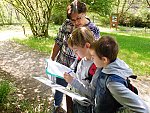 Komentovaná exkurze do Botanického parku UJEP za masožravkami s poznávací stezkou (KND Oříšek, Děčín)