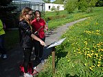 Komentovaná exkurze do Botanického parku UJEP za masožravkami s poznávací stezkou (KND Oříšek, Děčín)