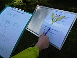 Komentovaná exkurze do Botanického parku UJEP za masožravkami s poznávací stezkou (KND Oříšek, Děčín)