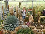 Komentovaná exkurze do Botanického parku UJEP za masožravkami s poznávací stezkou (KND Oříšek, Děčín)