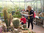 Komentovaná exkurze do Botanického parku UJEP za masožravkami s poznávací stezkou (KND Oříšek, Děčín)