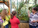 Komentovaná exkurze do Botanického parku UJEP za masožravkami s poznávací stezkou (KND Oříšek, Děčín)