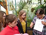 Komentovaná exkurze do Botanického parku UJEP za masožravkami s poznávací stezkou (KND Oříšek, Děčín)
