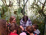 Komentovaná exkurze do Botanického parku UJEP za masožravkami s poznávací stezkou (KND Oříšek, Děčín)