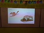 Popovídaly si o dinosaurech a jak svět vypadala v době, kdy žili.