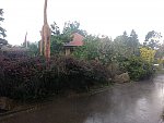 ZOO Lešná