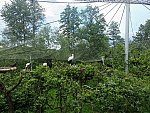 ZOO Lešná