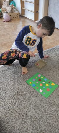 497443151_1283286950471408_8301036685420370199_n Nizozemsko