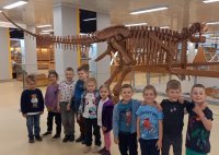 494233000_1290344216432348_972140773341667760_n Exkurze do geologického pavilonu VŠB-TUO